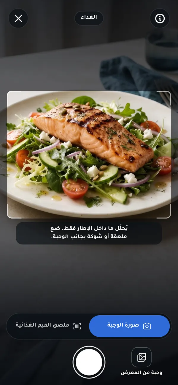 شاشة الكاميرا في CamCalo وفيها طبق سلطة سلمون داخل الإطار.